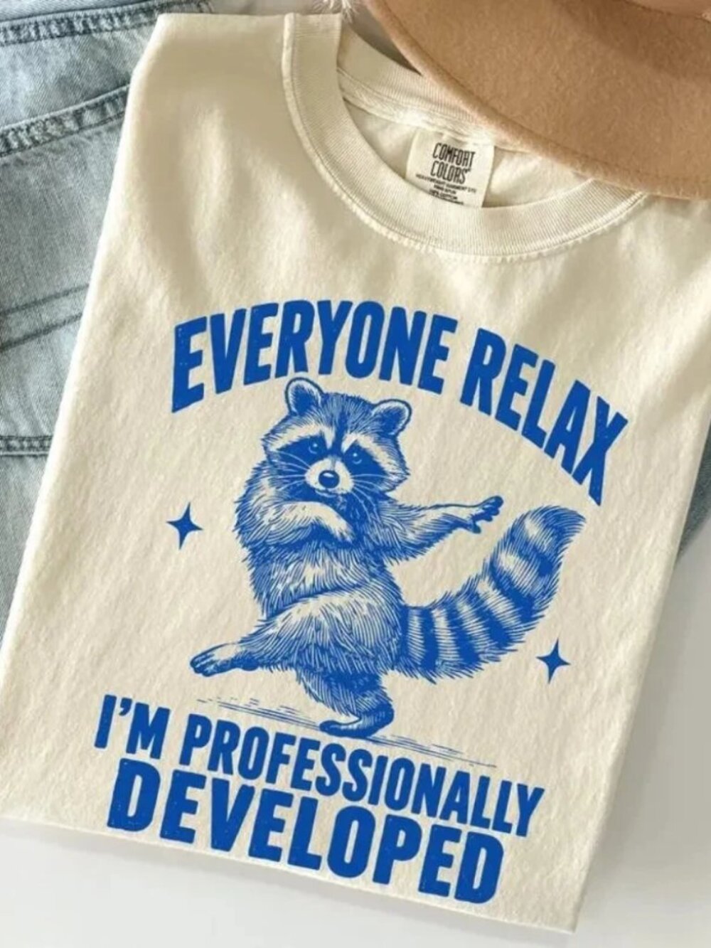 Comfort Colors Funny Raccoon Teacher Tshirt, Sarcastic Coworker Gift